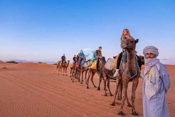
Desert Dune Bashing full									