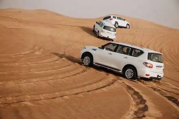 dubai desert drive