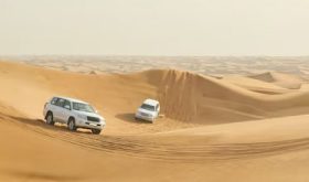 Desert Dune Bashing
